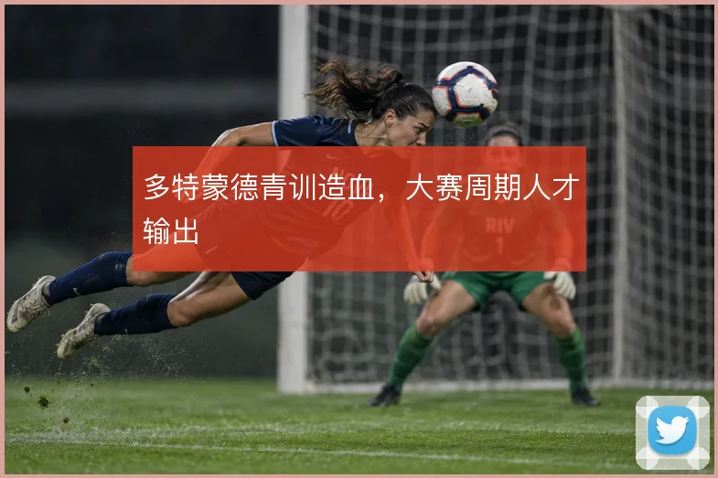 多特蒙德青训造血,大赛周期人才输出