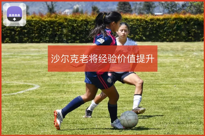沙尔克老将经验价值提升