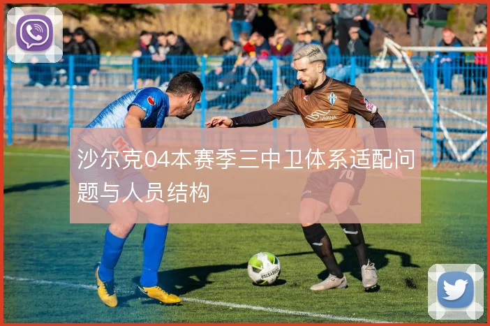 沙尔克04本赛季三中卫体系适配问题与人员结构