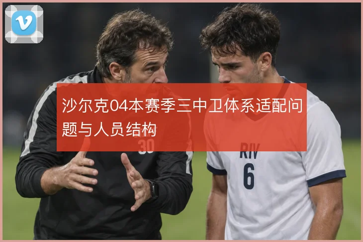 沙尔克04本赛季三中卫体系适配问题与人员结构