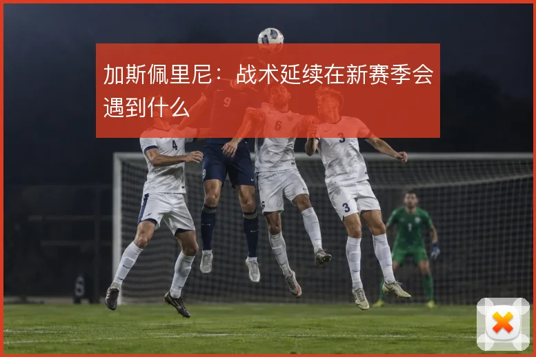加斯佩里尼：战术延续在新赛季会遇到什么