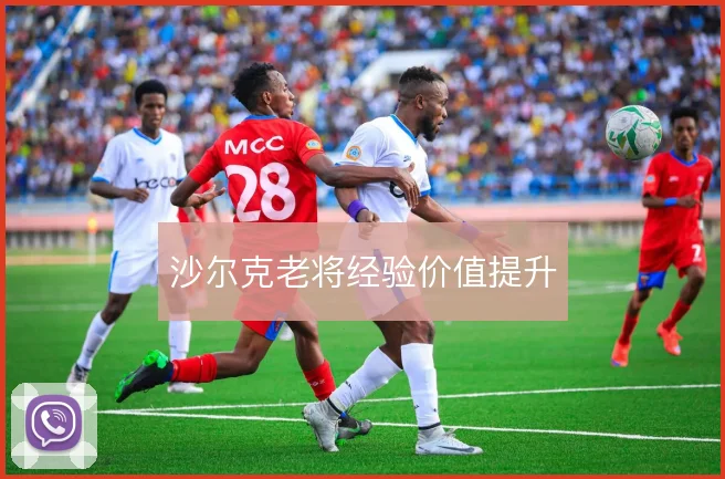 沙尔克老将经验价值提升
