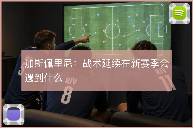 加斯佩里尼：战术延续在新赛季会遇到什么